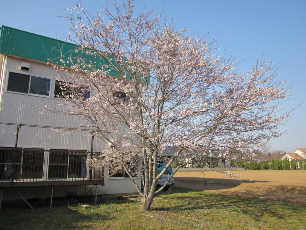 Narita Airport Hostel Shibayama Екстер'єр фото